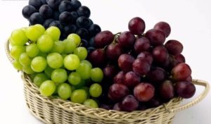 Виноград – польза и вред для организма человека – Vinograd-Loza