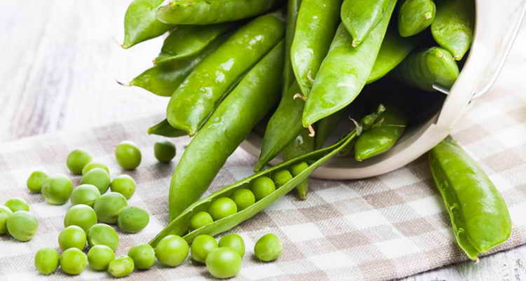 Зеленый горошек консервированный польза и вред для здоровья, БЖУ и калорийность