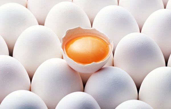 Куриные яйца – польза или вред?
