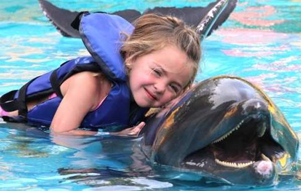 Дельфинотерапия – какие проблемы могут вылечить дельфины?