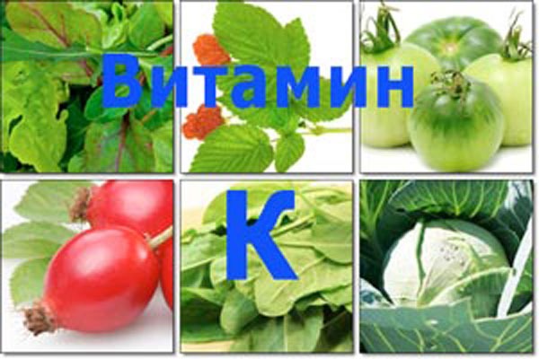 Витамин К: функции, содержание в продуктах, суточная норма, симптомы дефицита