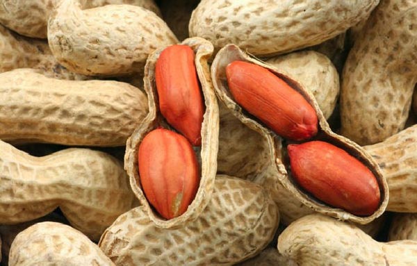 Польза и вред арахиса: состав, калорийность, правила хранения и выбора