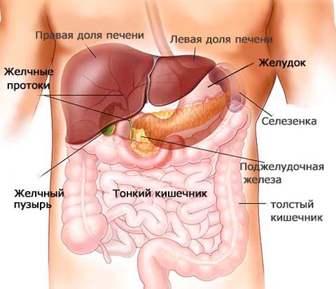 Диета при удаленном желчном пузыре