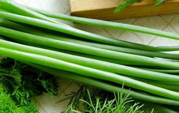 Зеленый лук – “вечнозеленое” лекарство круглый год!