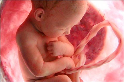 Симптомы и признаки анемии при беременности