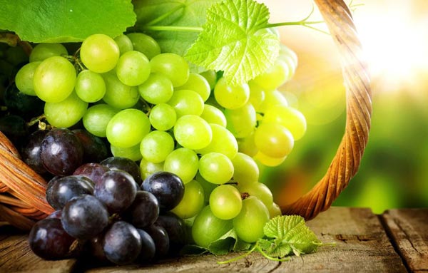 Виноград: все о пользе и вреде, лечебных свойствах и составе вкусного лакомства