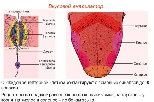 Привкус сладкого во рту