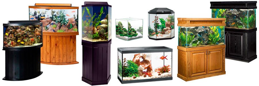 Виды аквариумов по форме конструкции