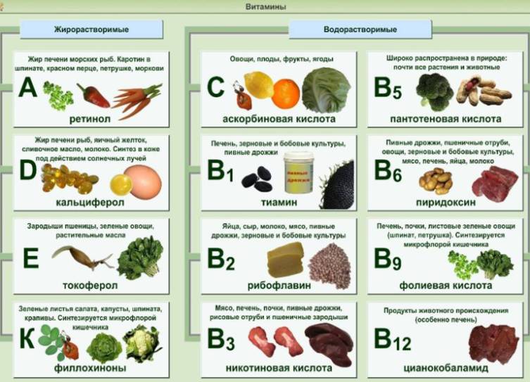 Виды и особенности витаминов