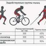 Расход энергии при ходьбе, беге, езде на велосипеде и самокате