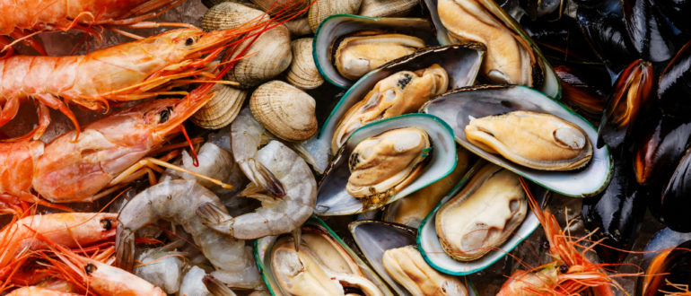 Как выбрать свежие и качественные морепродукты: советы и рекомендации